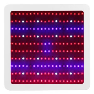 2000W LED Grow Light 4 Fans Seedling Veg Hydroponic Growing Lamp Veg Flower